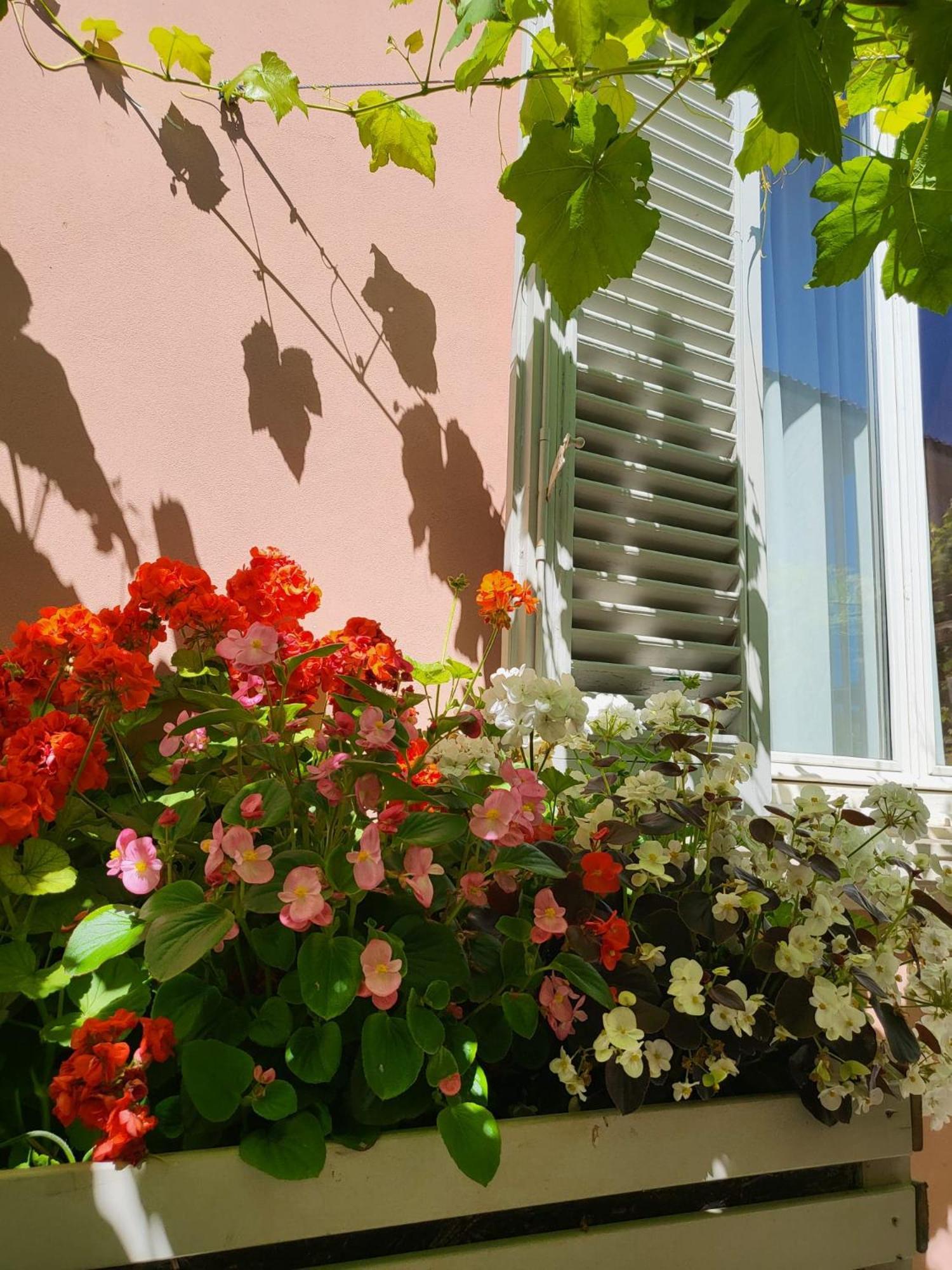 Il Buen Retiro Hotel Lucca Bagian luar foto