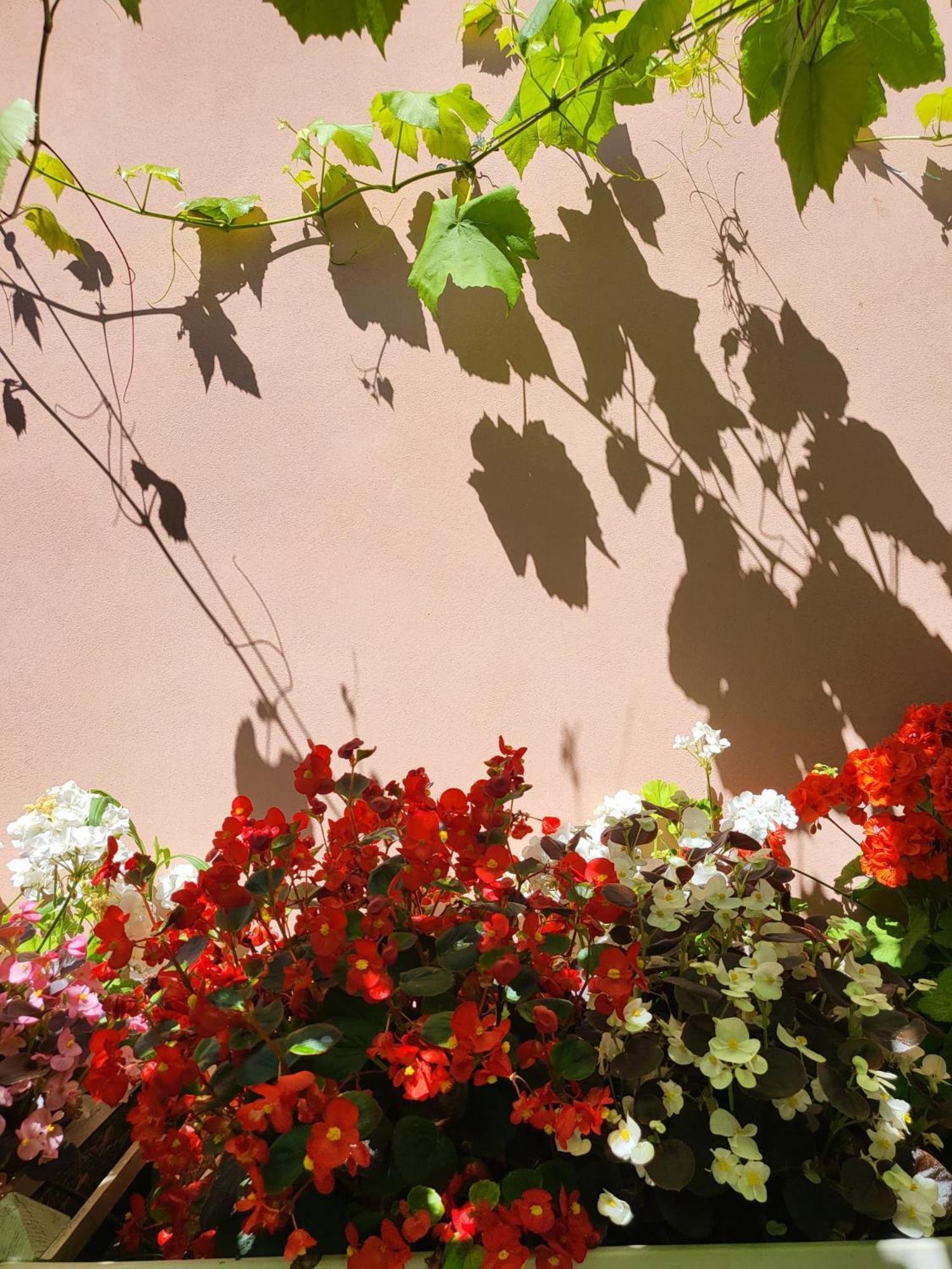 Il Buen Retiro Hotel Lucca Bagian luar foto