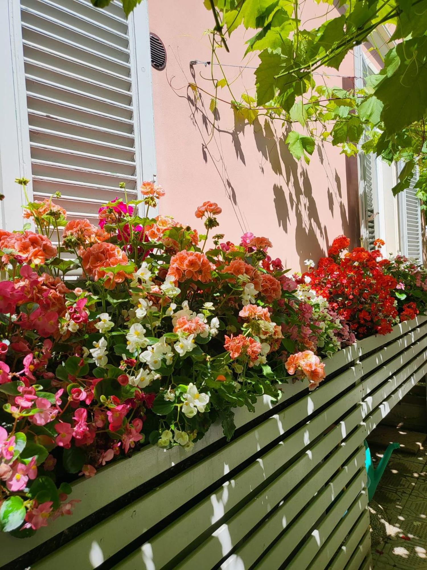 Il Buen Retiro Hotel Lucca Bagian luar foto
