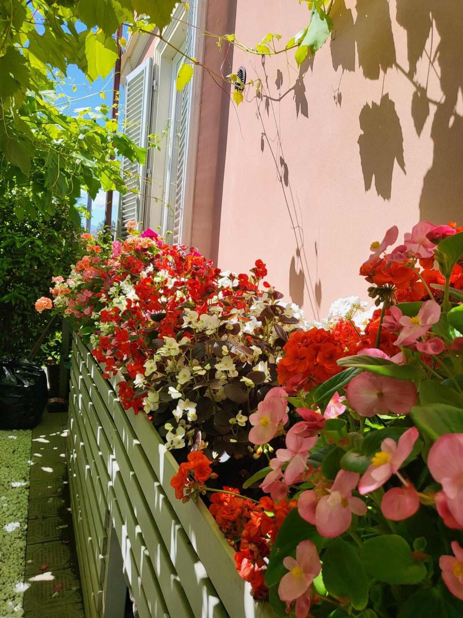 Il Buen Retiro Hotel Lucca Bagian luar foto