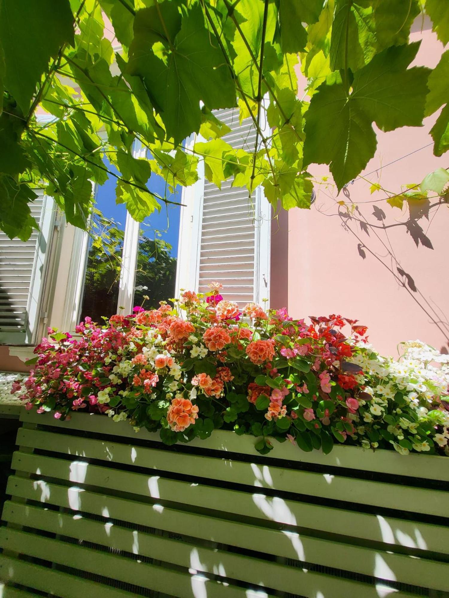 Il Buen Retiro Hotel Lucca Bagian luar foto