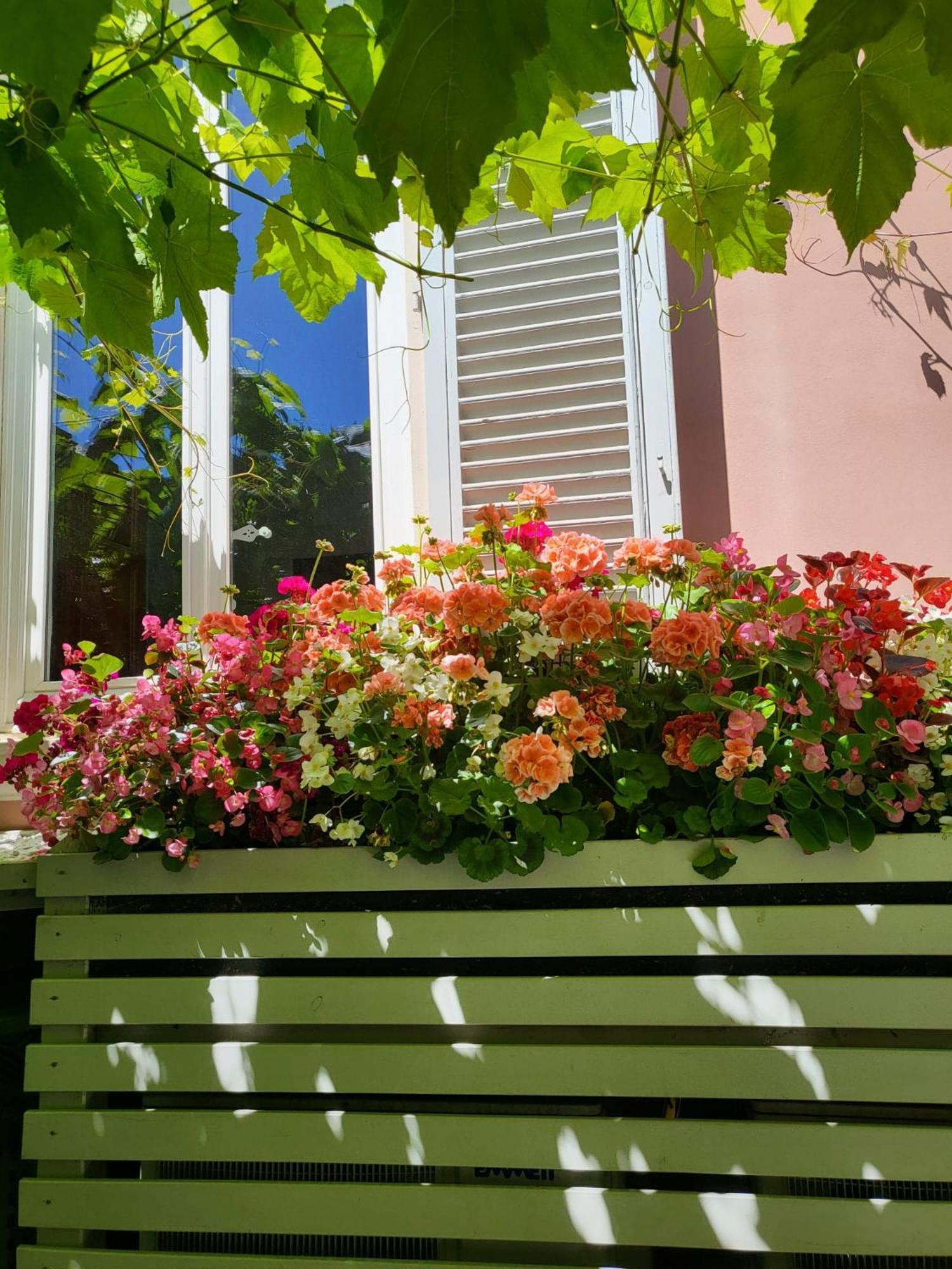 Il Buen Retiro Hotel Lucca Bagian luar foto