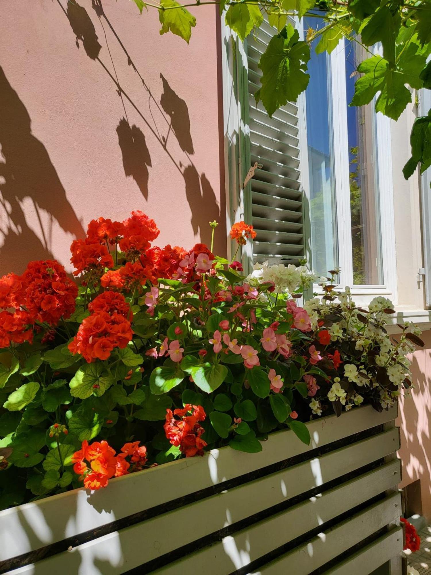 Il Buen Retiro Hotel Lucca Bagian luar foto