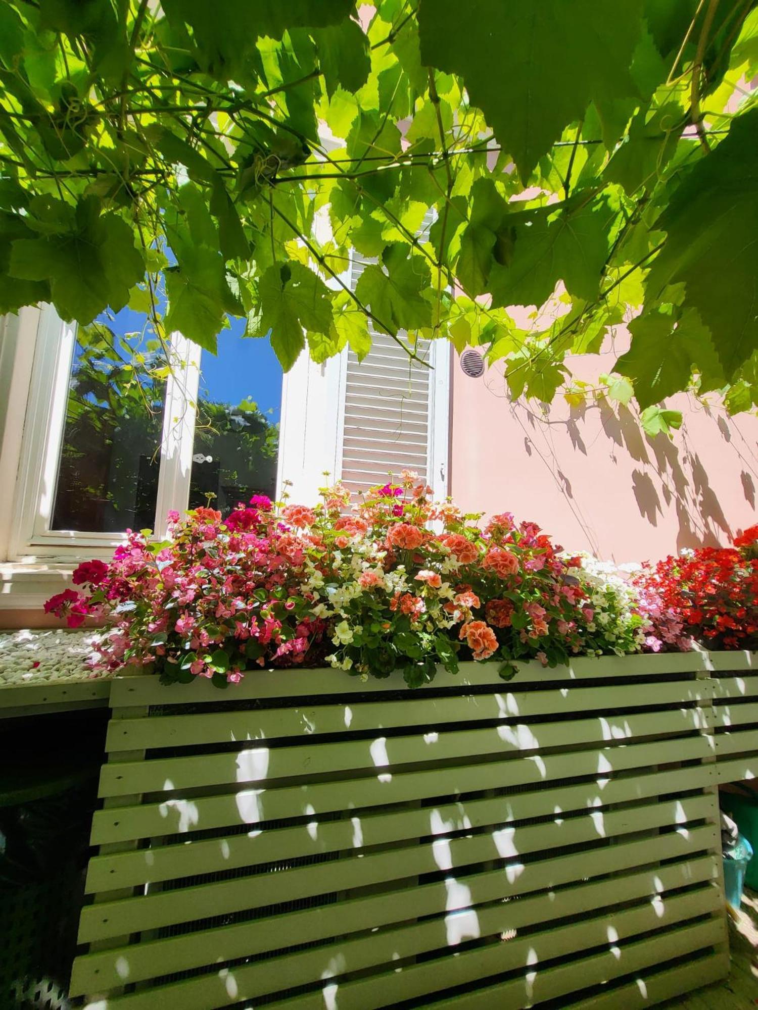Il Buen Retiro Hotel Lucca Bagian luar foto