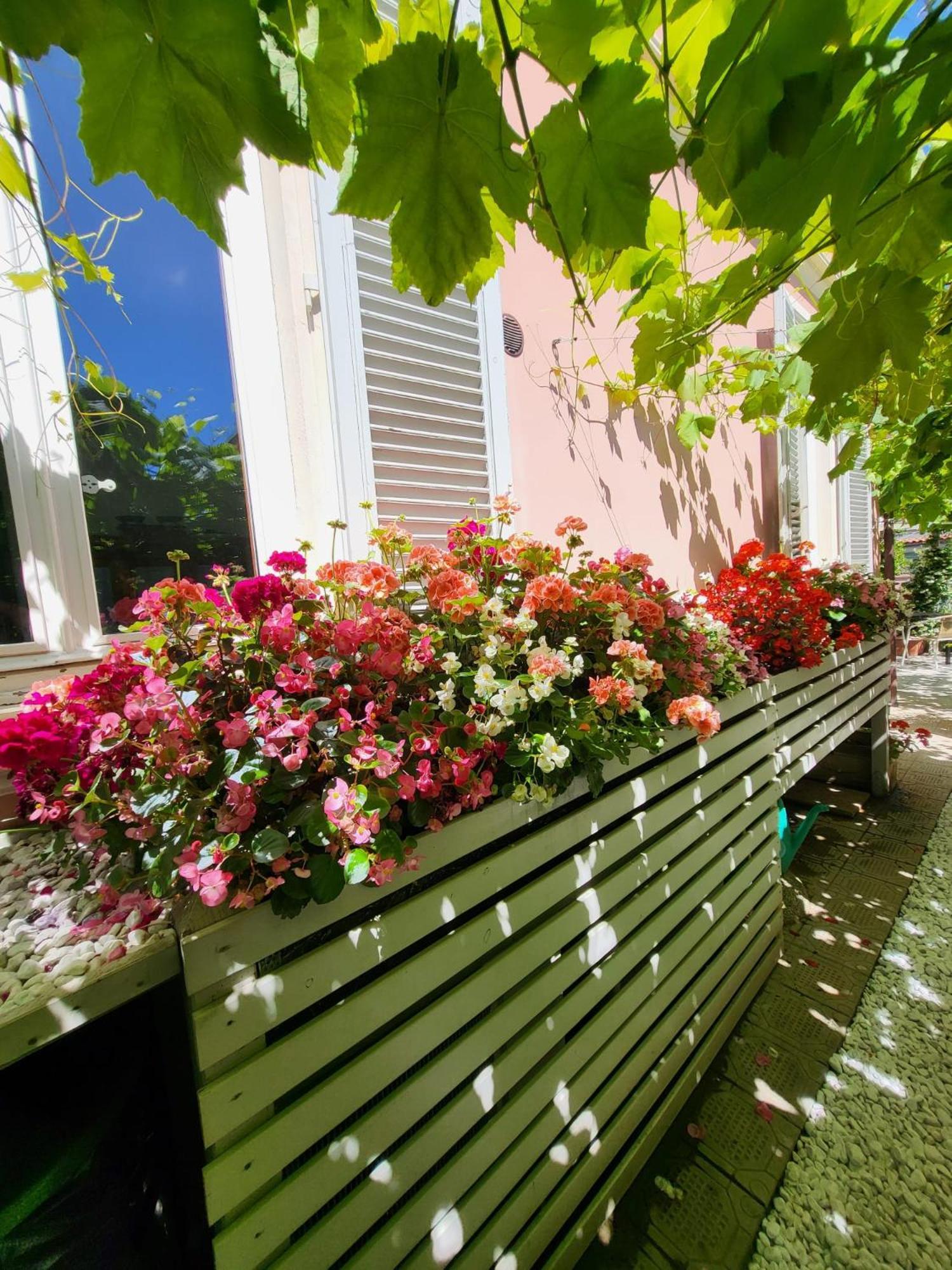 Il Buen Retiro Hotel Lucca Bagian luar foto