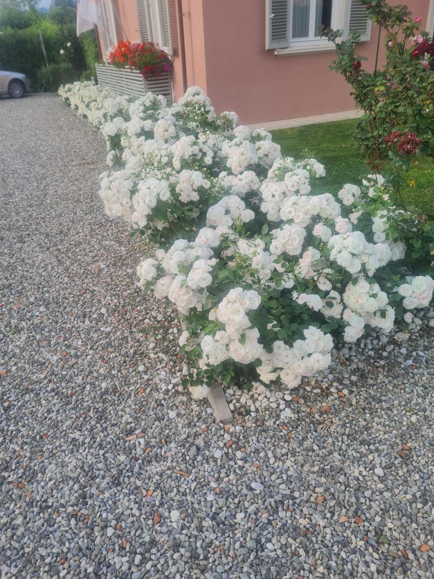 Il Buen Retiro Hotel Lucca Bagian luar foto